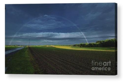 Screenshot_20260111_082437_Brave