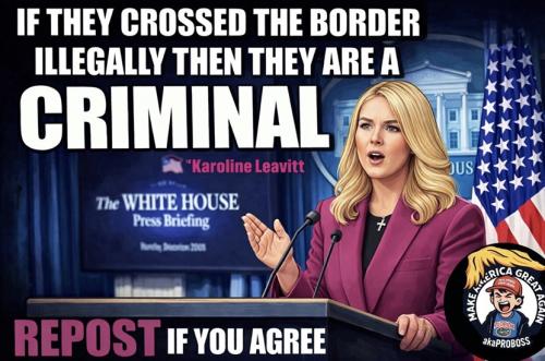 If they crossed the border illegally then they are a CRIMINAL !