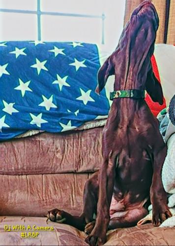 Screenshot_20260116_114256_Gallery