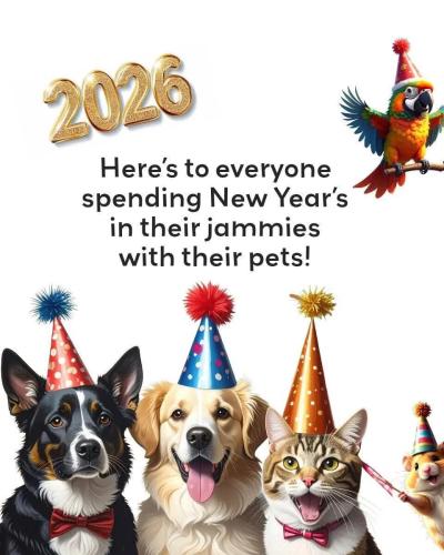 c5d27fae274b99ef25d081b8df4d9ee1