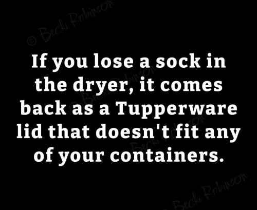 lost-sock-becomes-tupperware-lid