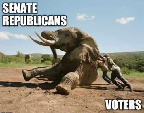 04:00:03 GMT-0600 (CST)