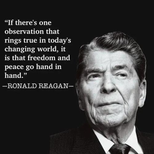 TESTHUB_photos_users_KPBY8Tc46ldqLjWXf6bqxqOW3AR2_-OjOhCUpjVWCo2Ww3AZw_img_rsz__1100x1100