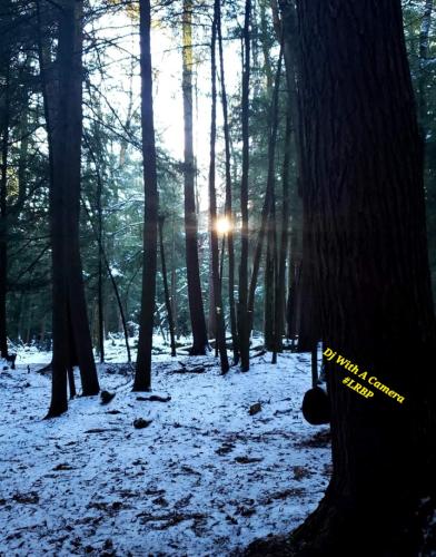 Screenshot_20260128_080342_Gallery