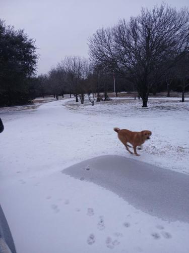 8e66d33a-befa-4ecb-934c-07e23d2fb6b7