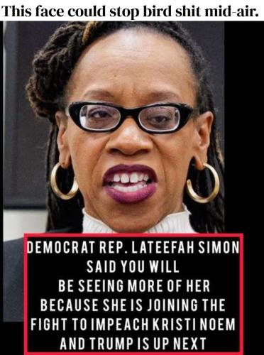 This face could stop bird shit in mid air