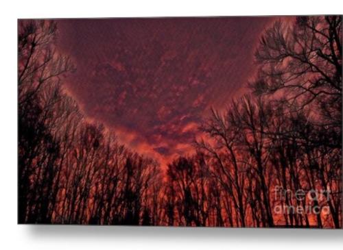 Screenshot_20260119_110319_Brave