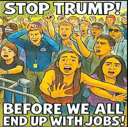 image_B5DD2CA0-38B9-4CFF-95BC-1F28C0FD0E0C