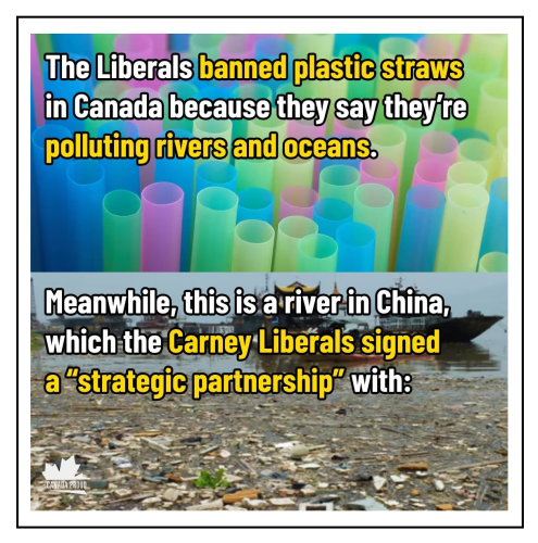 banned straws