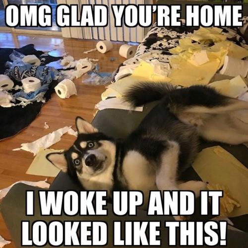 77ff6115d6e77561cacfcd02c7e3cd78