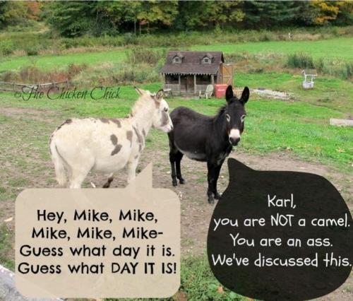 Screenshot_20260114_094419_Gallery