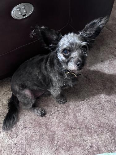 A891664D-3962-472C-82D4-E845FAF8ABE1