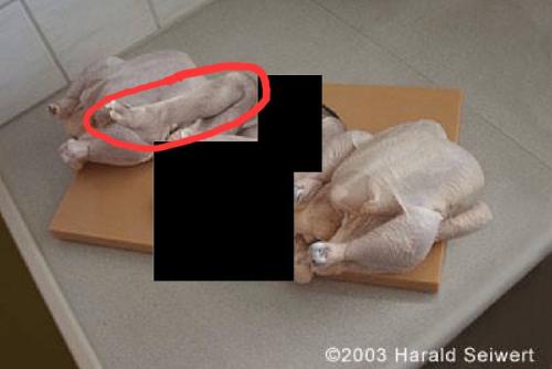 IMG_20260131_131248_168