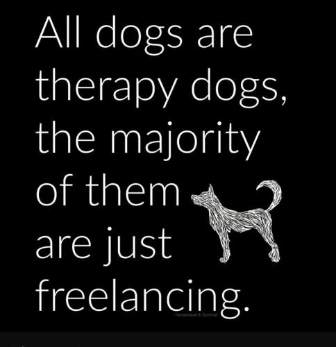 884da0a9d2709d708c06c17b90ff1a37