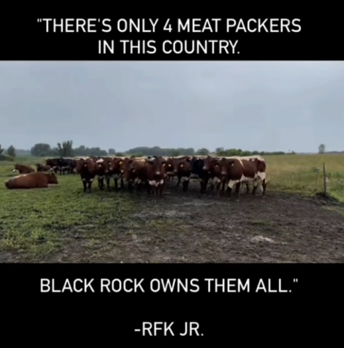 image_9A369536-EED9-44A0-A264-59CE60A770E5