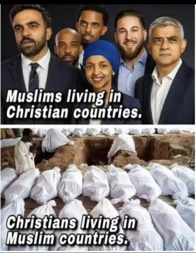 IMG_20260115_082429_759