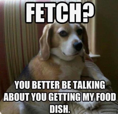 4dc593f4c83a38ffe1c0077ffca07bc3