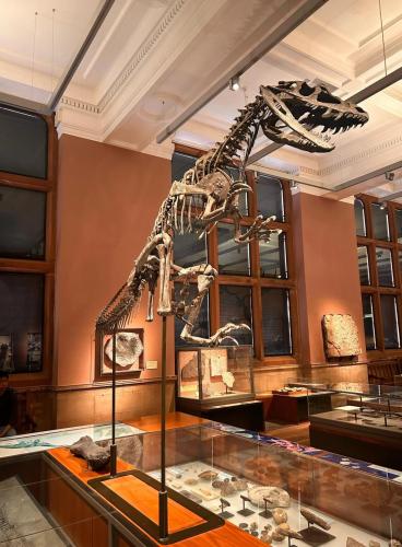 RDT_20260108_1826215949873964762434229