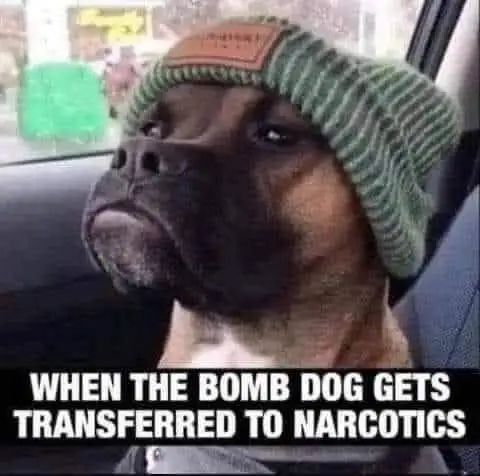 43e1b2196bb4b2a9d0f9040fda0feb8d