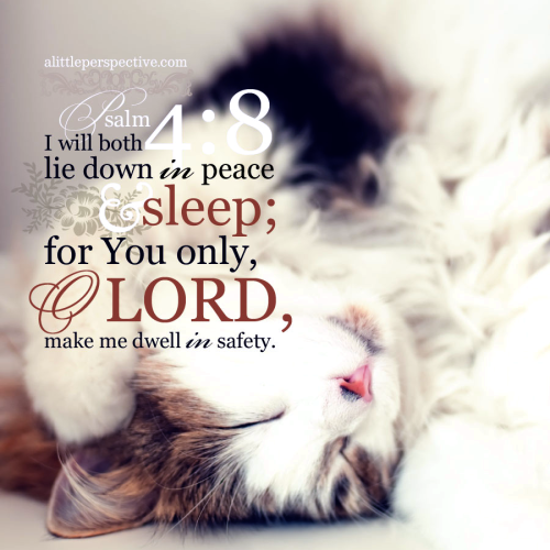 psa-4-8-KJV-unsplash