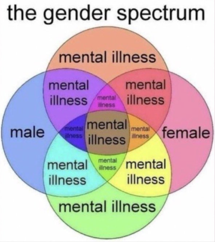 image_6EBD6709-9CCB-46BF-8C7C-3BA766627EAB