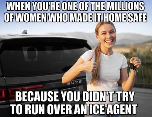 made-it-home-safe-not-run-over-ise