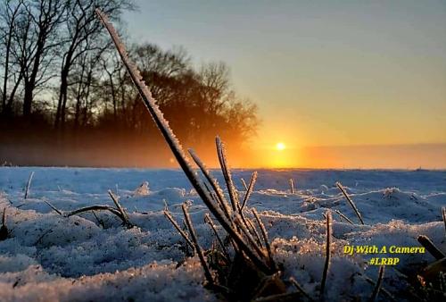 Screenshot_20260130_081743_Gallery