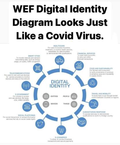 IMG_20260128_031328_886