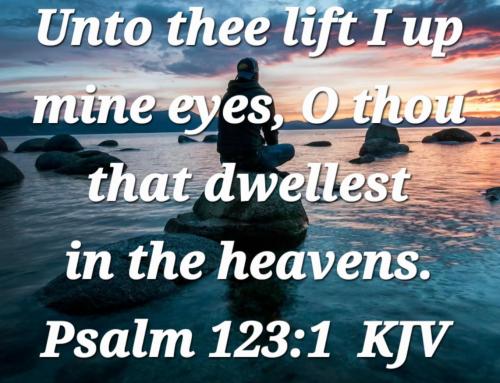 e037a9bb-838d-4e1a-b6ab-6606bd0c44f0