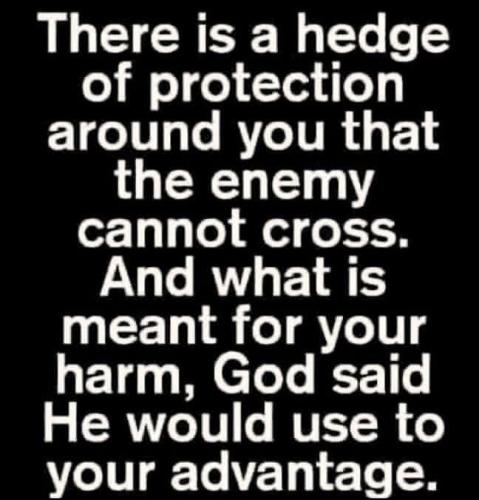 IMG_20260111_151010_101