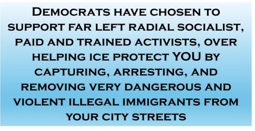 Democrats pick illegal over citizens