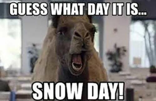 Screenshot_20260128_065617_Brave