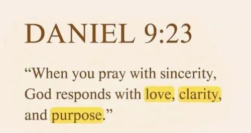 IMG_20260125_164656_227