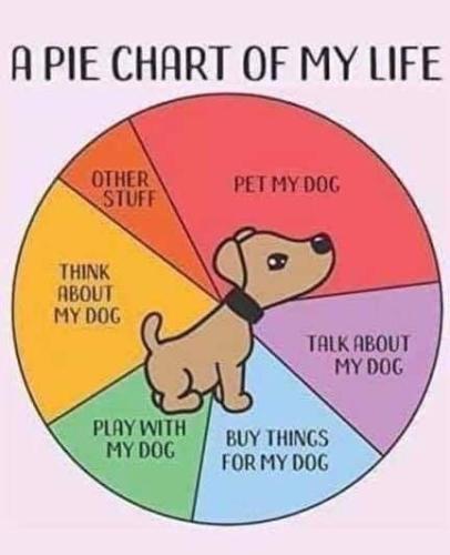 c16073ada606e1a2f84ae8eb636c49d9