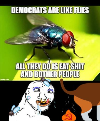 Screenshot_20251119_115536_Wimkin Free Speech Social Media(1)