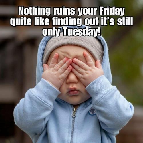 8e4bbbc253ba906772cff9543d779cf6