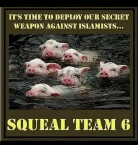 65b6c07bdbd77419512757e3700890b5_768x0