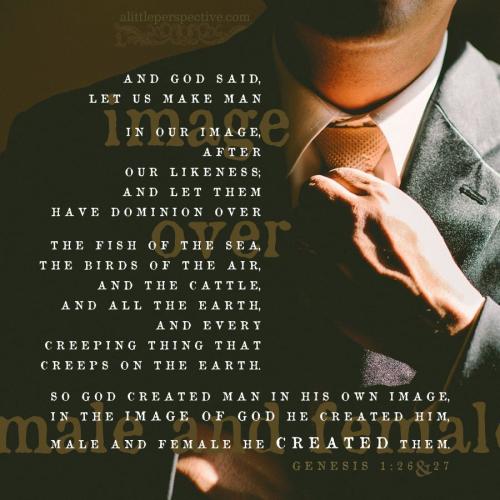 gen-1-26-JPS-pixabay