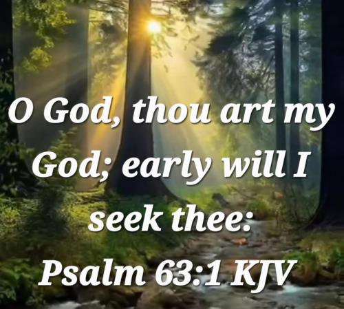 67f50c4d-4d53-4c08-a0d7-8c4d35e81919