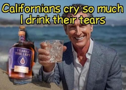 3d411c65-c6e9-400e-81dd-48a30128b47d