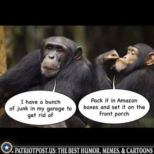 01KG8DPPC6MQM0RVWRYFKG05CX