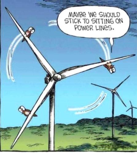 e5g8DigVbjNabIRzmhjC_08_cca9c990746ee5d774c55667586f715a_image