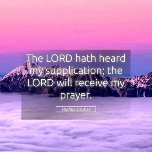 09fa50d5-857b-4ff6-993f-aba07aef5362