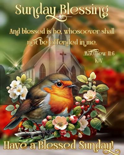 611165808_892028799998134_583355766884213679_n