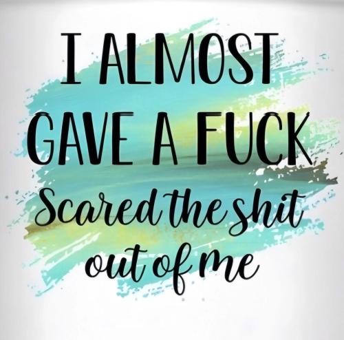 i-almost-gave-a-fuck