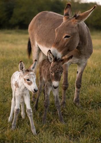 607610890_25647478154863032_457854623880522152_n