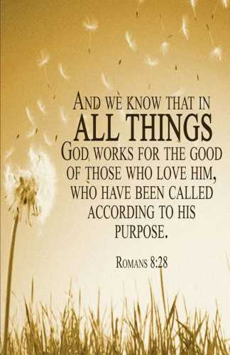 Screenshot_20260103-181413-741