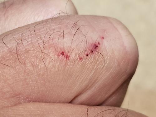 20251231_233421(1)_1