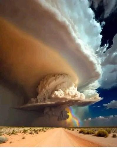 ,      545159_51961123140246