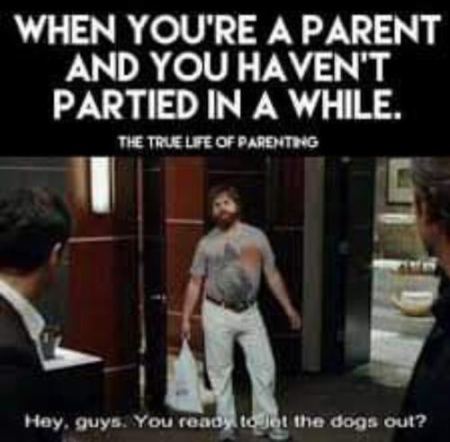 Screenshot_20251230_080405_Gallery